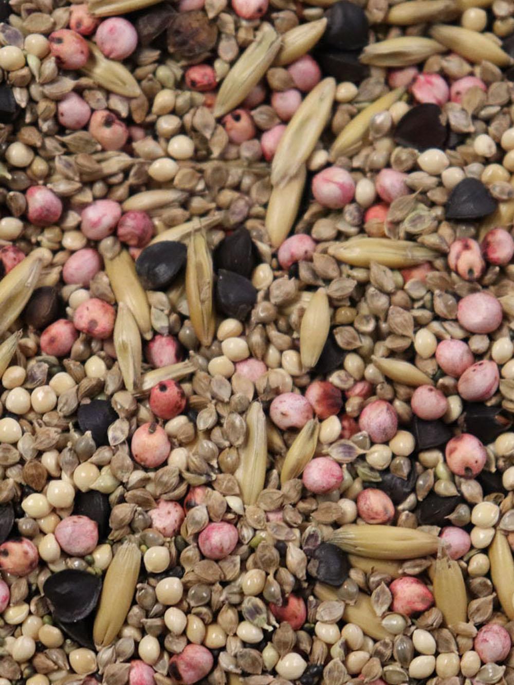 Wetland Waterfowl Mix